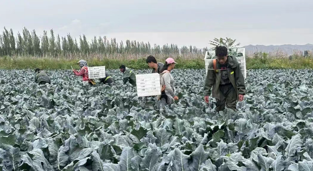 wechat_2025-09-02_101249_689.png